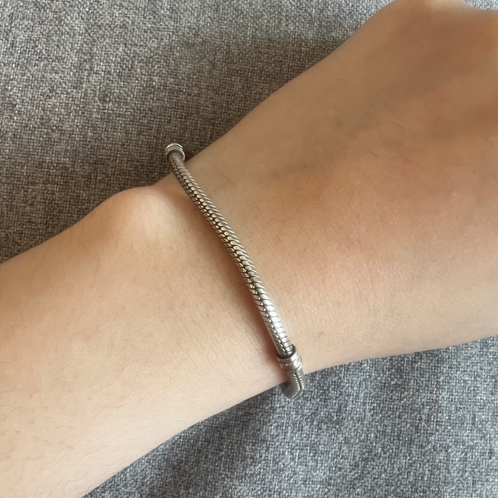Pandora bracelet